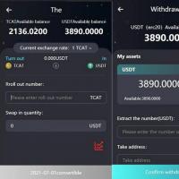 2024 新版H5打包版双语言虚拟系统 USDT支付