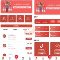 抖音在线点赞任务发布接单运营平台PHP网站源码